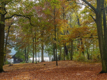 00059_Herbstblick aus dem Restaurant_Hans Wiedl.jpg